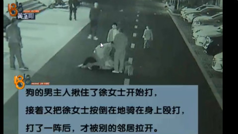 【1818
黄金眼】女子带孩子散步 孩子被狗追妈妈被狗主人打